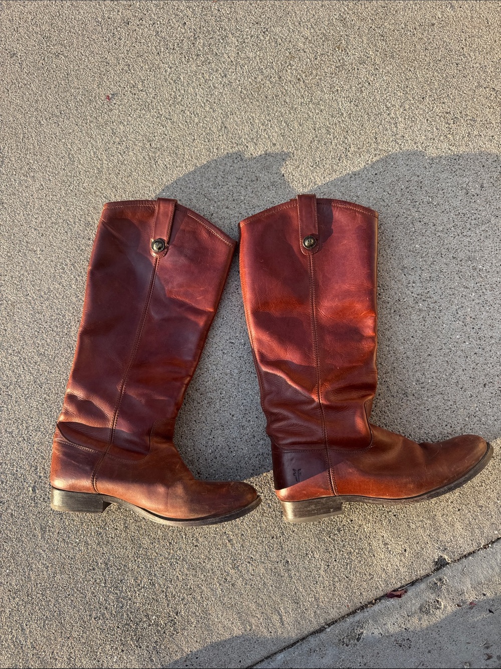 Frye Women's Tall Leather Riding Boots in Brown
